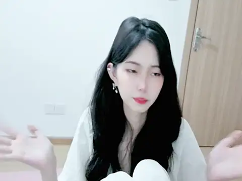 XIAYIBB-2025 webcam