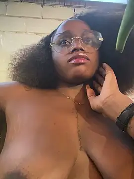 darle_volant webcam
