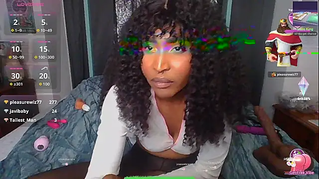 ziafoxy webcam