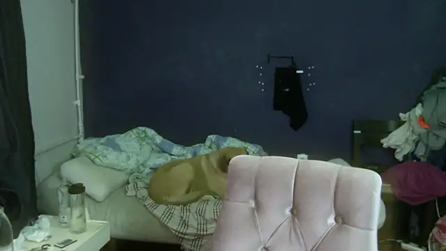 turkishTransEfsun webcam