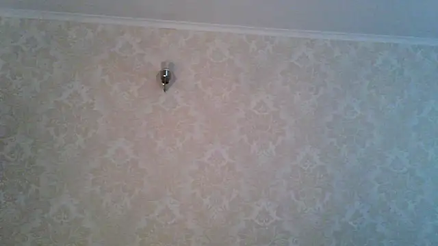 Kashtanka_ webcam