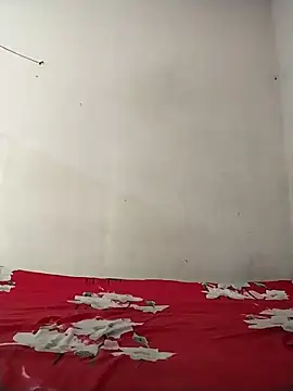 Nadia-2 webcam