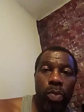 PhreeHead webcam