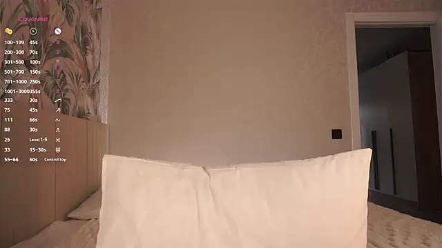 ElsaManspeaker webcam