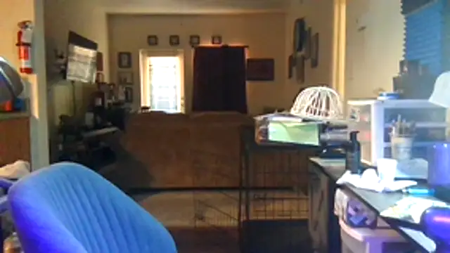 Tyrish361 webcam