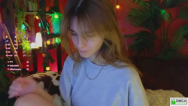 soft_animal_