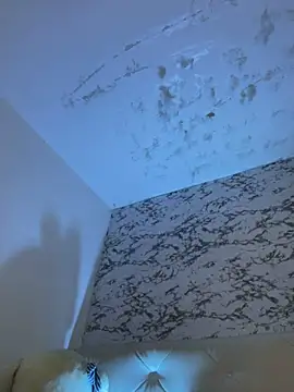 Lili__taylor webcam
