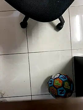SievingPrep webcam