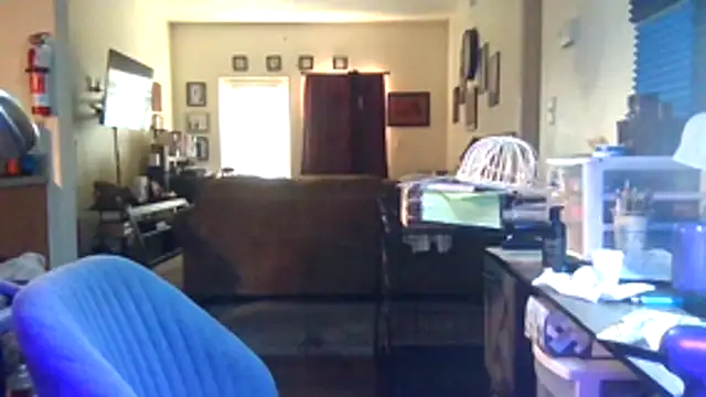 Tyrish361 webcam