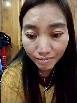 PhienPhien webcam