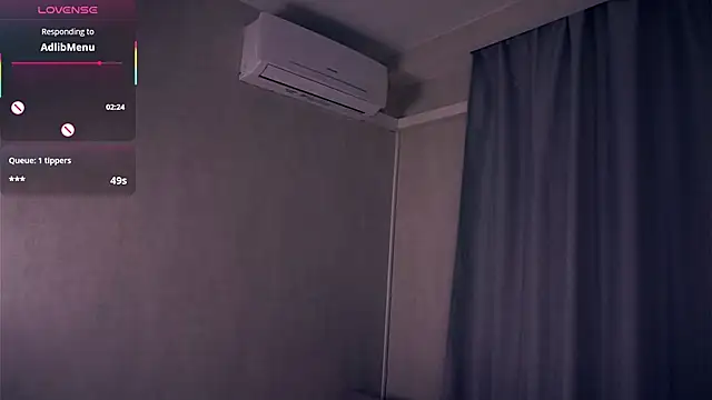 VeronaBench webcam