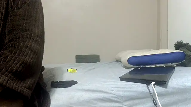 ReallyReallyReal webcam