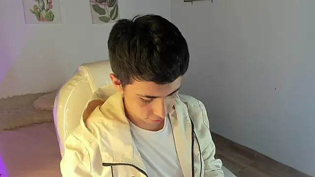 Nyko_ds