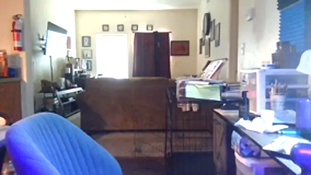 Tyrish361 webcam