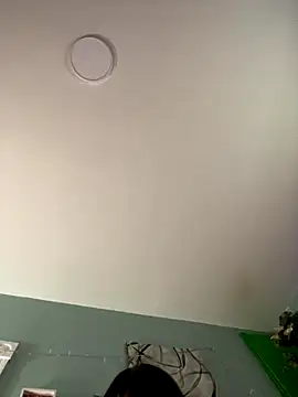 Jalissaskitten webcam
