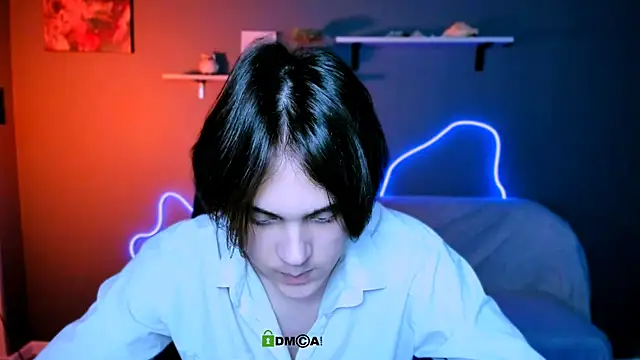 karl_mans webcam