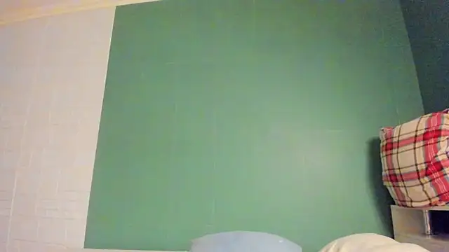 Frostyy_fire webcam