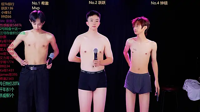 Boygayhouse
