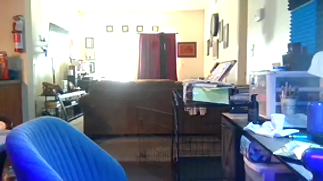 Tyrish361 webcam