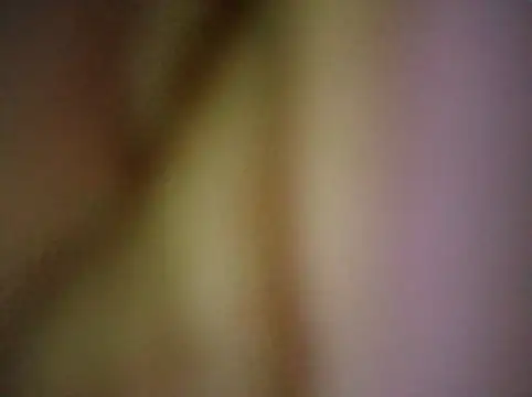 Mounstro3 webcam