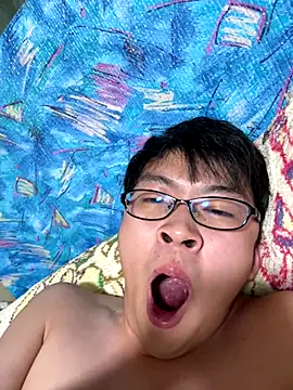 hiromu53 webcam
