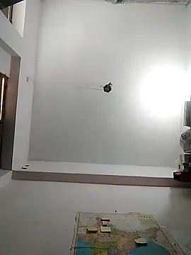 Mafiya1604 webcam