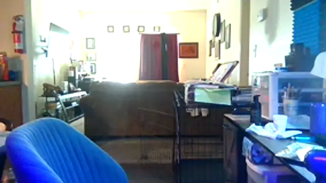 Tyrish361 webcam