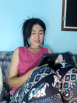 wawasaru webcam