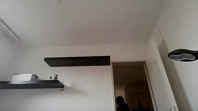alpha-hunk webcam