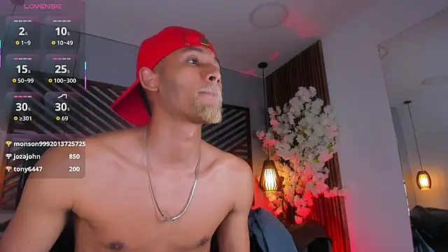 B_Wild webcam