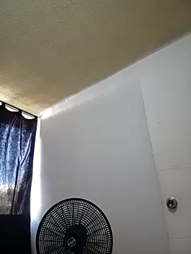 Nelsareth webcam