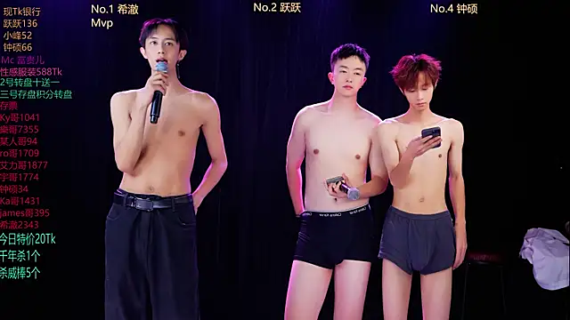 Boygayhouse