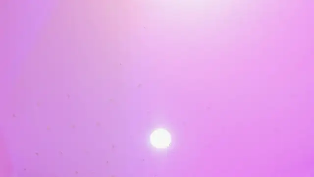 Megan_cute4u webcam