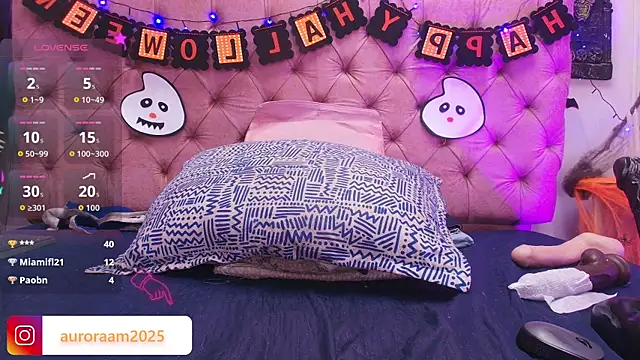 Auroraa_miller webcam