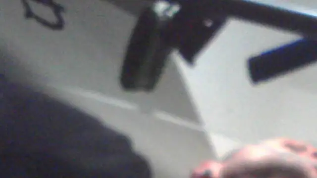 SunnyWild webcam