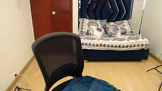 dayanhank webcam