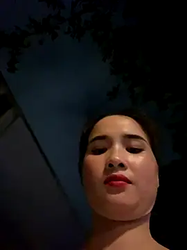 Okleotina webcam