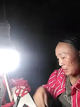 Hoala7890 webcam