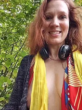 Exhibitionsplit webcam