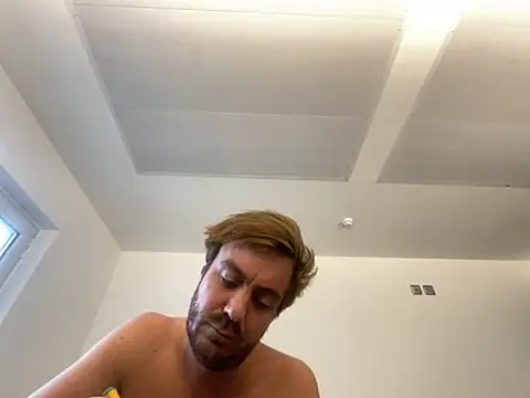 3615-ULLA webcam