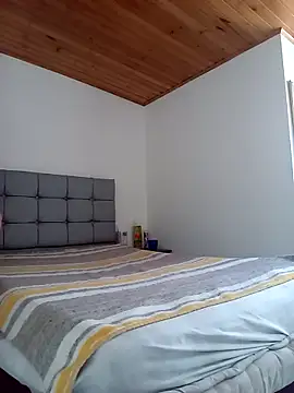 CARITOMIO webcam
