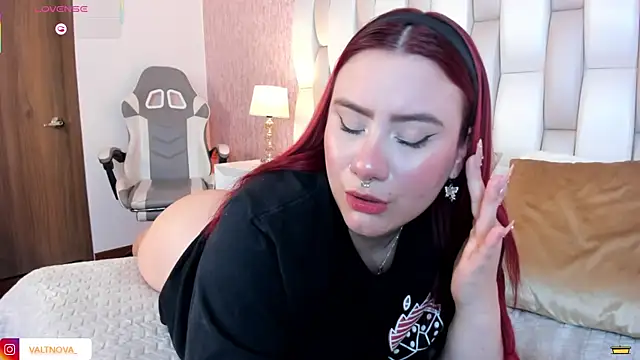 valt_ webcam