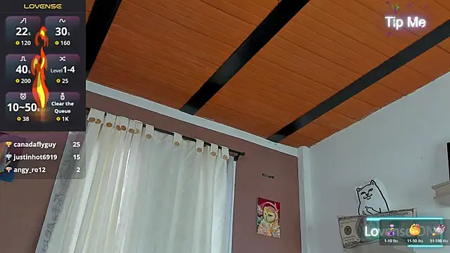 Aron_ford webcam
