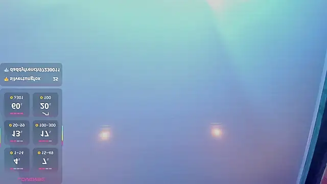 milavega_ webcam