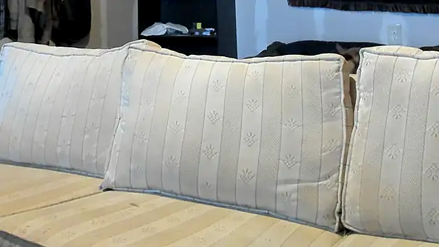 Preview of jayshort786
