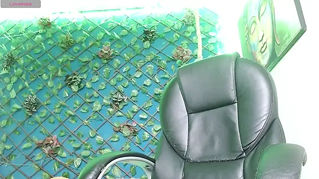 curbjerry webcam