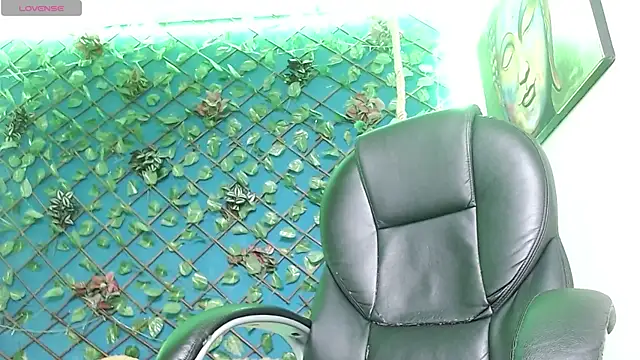 curbjerry webcam