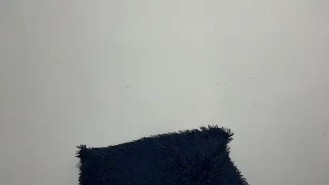 dominic_brandd23