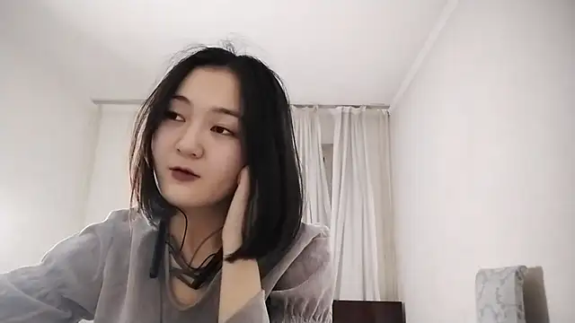 Lyndasilk webcam