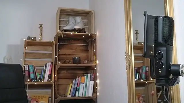 Antifistin webcam
